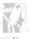 Fig. 13 - Regulator button cover device