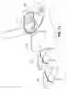 Fig. 11 - Golf club head with undercut and insert