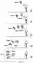 Fig. 10 - In-game visualization of spectator feedback