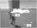 Fig. 01 - Footprints in virtual environments