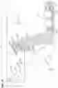 Fig. 22 - Filter element for filtering a fluid