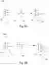 Fig. 09 - Boron-containing porous membranes and methods of use thereof