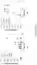 Fig. 10 - LITHIUM EXTRACTION COMPOSITE FOR RECOVERY OF LITHIUM FROM BRINES, AND PROCESS OF USING SAID COMPOSITION