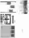 Fig. 06 - PH-SENSITIVE CAPSULE AND RELEASE SYSTEM
