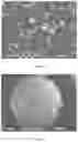 Fig. 02 - PHASE CHANGE MICROCAPSULE HAVING HIGH BLENDING FLUIDITY AND HIGH LATENT HEAT OF PHASE CHANGE, AND PREPARATION METHOD THEREOF