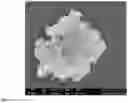 Fig. 08 - Kaolin-based water purifying material, preparation method and use thereof