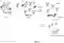 Fig. 09 - Affinity dissolution of biomolecules for protein purification