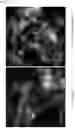 Fig. 03 - Supported catalyst particles