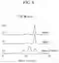 Fig. 05 - METHOD OF PREPARING SCR CATALYST AND SCR CATALYST PREPARED THEREBY