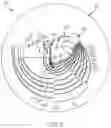 Fig. 06 - GRAVITY FLOW MICRO-PHYSIOLOGICAL ARTICLE AND DETERMINING A PHYSIOLOGICAL RESPONSE TO A DRUG