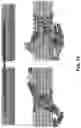 Fig. 21 - Systems and methods for high-fidelity capture, threading, and infinite-depth sequencing of single nucleic acid molecules