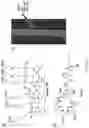 Fig. 03 - Fluidic device for the detection, capture, or removal of a disease material