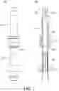 Fig. 08 - Two-way pumping device for consumption of residual amount of liquid