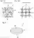 Fig. 02 - CLEANING MEMBER, AND METHOD FOR MANUFACTURING THE SAME