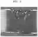 Fig. 07 - Aluminum coated blank and manufacturing method thereof