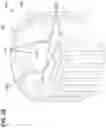 Fig. 40 - Cutter and Kit