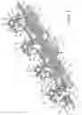 Fig. 02 - Engraving fixture for multiple serially arranged objects