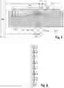 Fig. 05 - Method for producing a diaphragm for a diaphragm valve