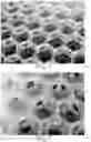 Fig. 05 - Additive manufacture using composite material arranged within a mechanically robust matrix