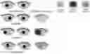 Fig. 01 - Methods and compositions for pigmented hydrogels and contact lenses