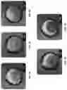 Fig. 19 - Methods and compositions for pigmented hydrogels and contact lenses