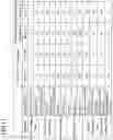 Fig. 09 - WOOD LAMINATE MATERIAL AND METHOD FOR MANUFACTURING SAME