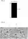 Fig. 04 - Ink absorber and printing apparatus