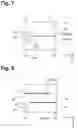 Fig. 07 - Liquid container and recording apparatus