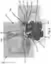 Fig. 09 - Snow door integrated in adapter