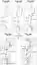 Fig. 05 - Decorative part for vehicle and method for manufacturing same