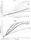 Fig. 02 - Polyamide Nonwovens in Sound Absorbing Multi-Layer Composites