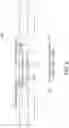 Fig. 09 - Vehicular trailering guidance system