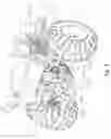 Fig. 10 - Vehicle