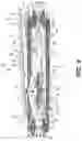 Fig. 10 - TRACK ASSEMBLY FOR A VEHICLE