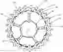 Fig. 01 - Toothed wheel assembly for a cassette