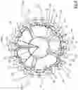 Fig. 06 - Toothed wheel assembly for a cassette