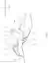 Fig. 05 - Personal watercraft