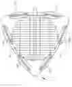 Fig. 08 - Arrowhead aircraft
