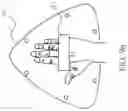 Fig. 11 - Arrowhead aircraft
