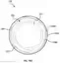 Fig. 13 - Closure cap for bottle