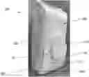 Fig. 01 - Blank, container holder, and package for a flexible wipes container