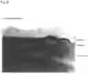 Fig. 07 - CORE-SHELL COMPOSITE AND METHOD FOR PRODUCING SAME