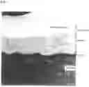 Fig. 08 - CORE-SHELL COMPOSITE AND METHOD FOR PRODUCING SAME