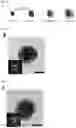 Fig. 11 - MULTI-COMPONENT MESOCRYSTALLINE NANOPARTICLES AND METHOD OF MANUFACTURING THE SAME