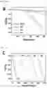 Fig. 19 - MULTI-COMPONENT MESOCRYSTALLINE NANOPARTICLES AND METHOD OF MANUFACTURING THE SAME