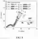 Fig. 11 - High entropy composite oxide, manufacturing method thereof, and anode materials comprising the same