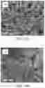 Fig. 13 - High entropy composite oxide, manufacturing method thereof, and anode materials comprising the same