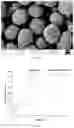 Fig. 06 - Method and device for producing lithium transition metal oxide