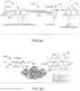 Fig. 04 - RAPID ENZYME ACTIVITY MEASUREMENT SYSTEM AND METHOD