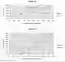 Fig. 18 - APPARATUS AND METHOD FOR MEDIATION OF PFAS CONTAMINATION IN AN ENVIRONMENT
